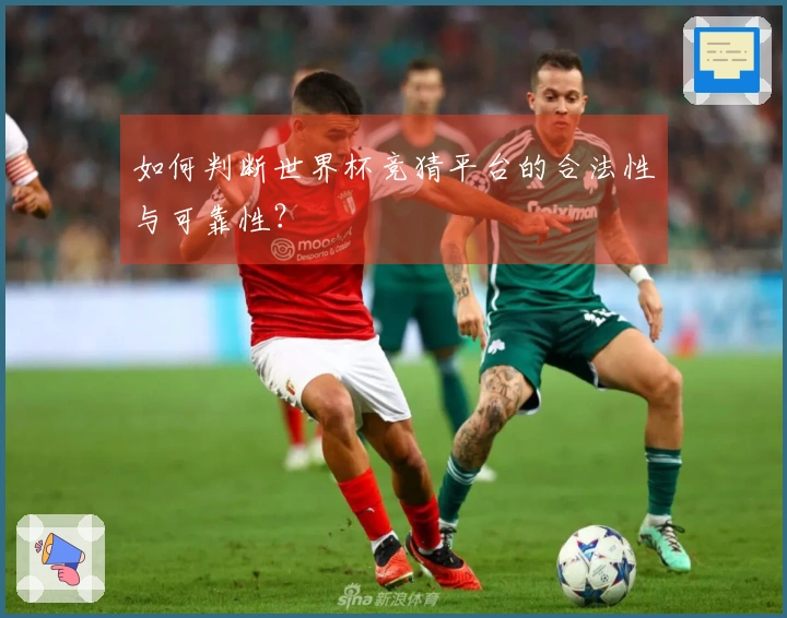 如何判断世界杯竞猜平台的合法性与可靠性?